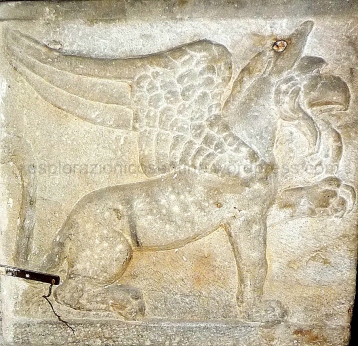 grifone-sarcofago-duomo-cosenza